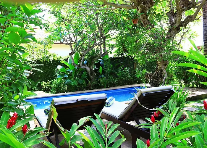 Beachhouse Lovina