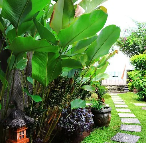 Villa Beachhouse Lovina